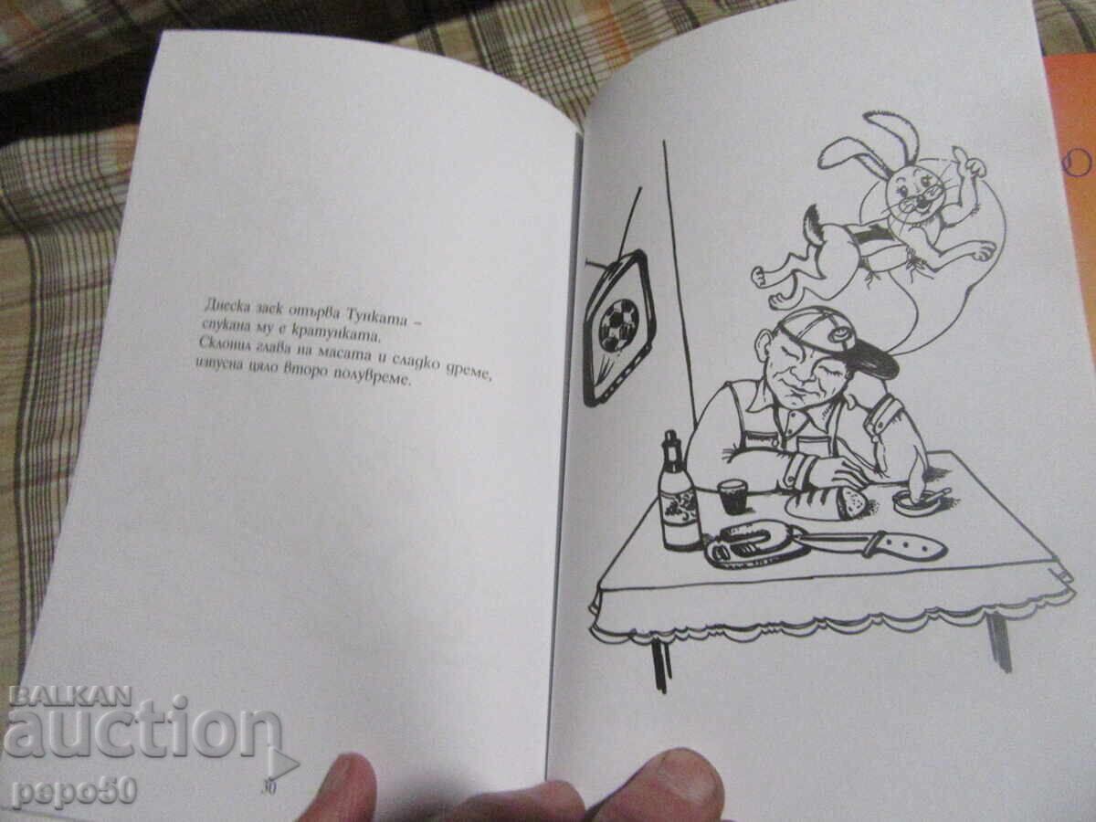 Licitație DOUĂ CĂRȚULII VESELE din 2016 Licitație DOUĂ CĂRȚULII VESELE din 2016