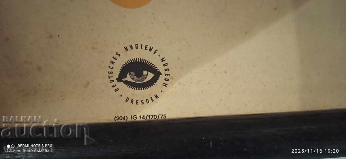Old educational board from the Deutsches Hygiene-Museum focusing with price € 34.77 | 68.00 BGN