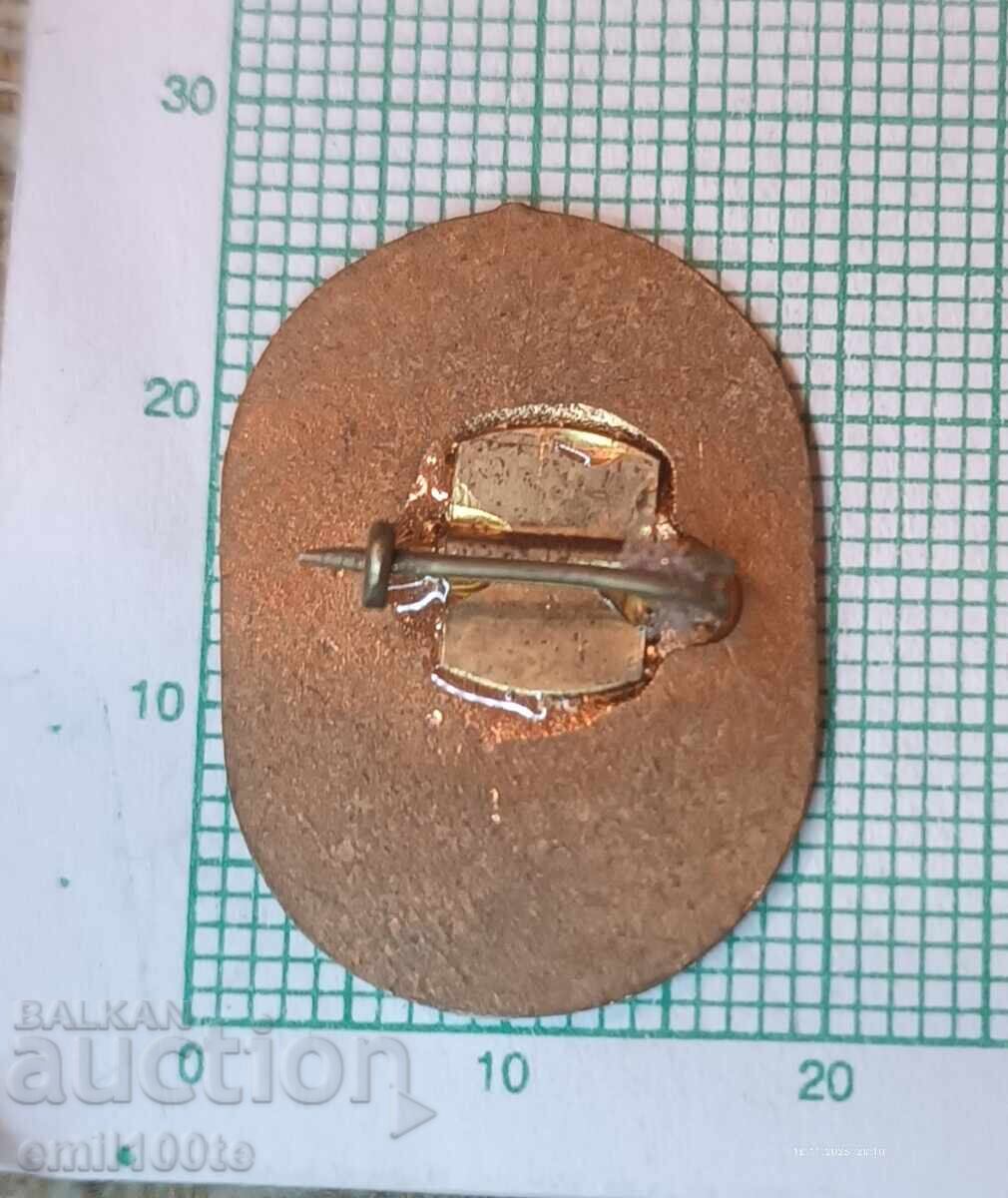 Badge - Excellent Worker in Agricultural Production D. Kondov Varna - 6 Badge - Excellent Worker in Agricultural Production D. Kondov Varna - 6