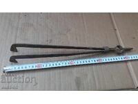 CIOCANITĂ CU REÎNVIEREA DE DILAF