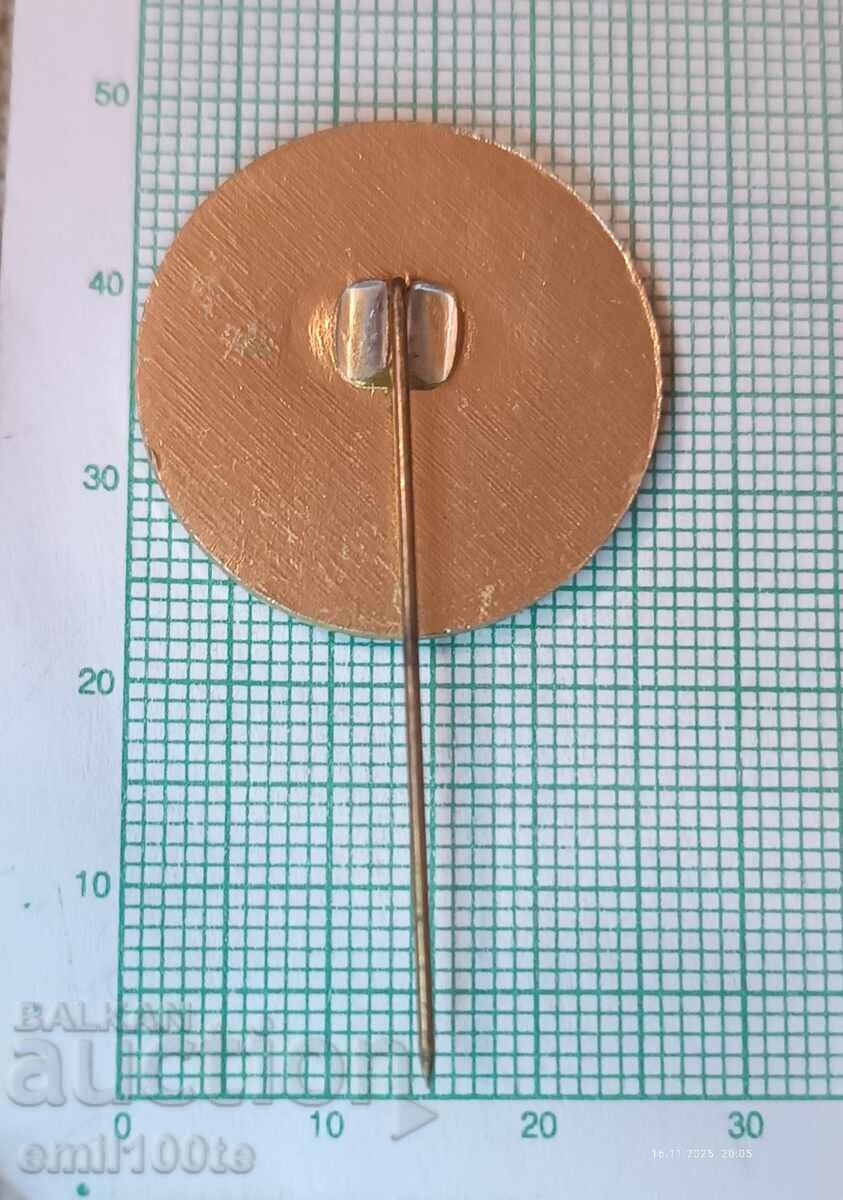 Delivery of Badge - International Esperanto Course Bulgaria Delivery of Badge - International Esperanto Course Bulgaria