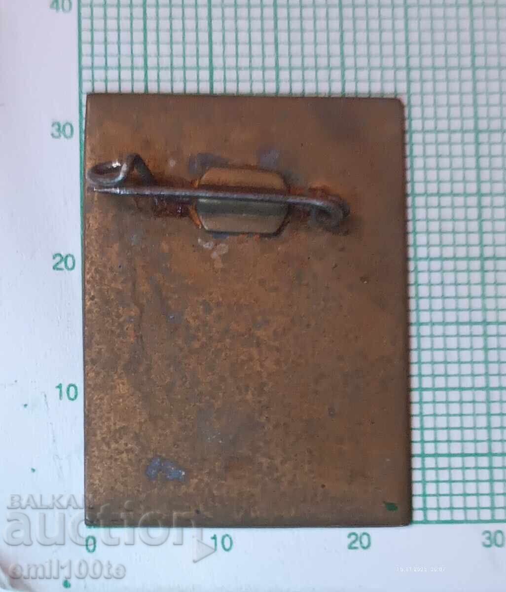 Значка- 50 години Читалище Г. С. Раковски Лозенец - 7