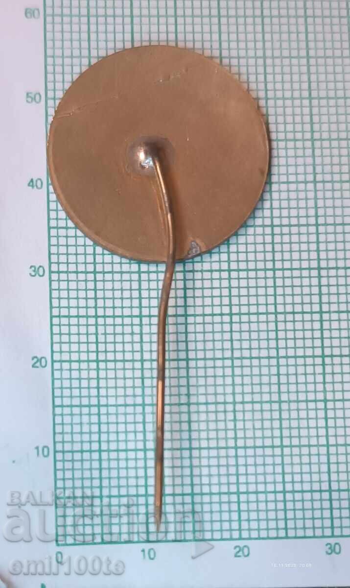 Delivery of Badge Youth Meeting of Socialist Capitals Sofia Delivery of Badge Youth Meeting of Socialist Capitals Sofia