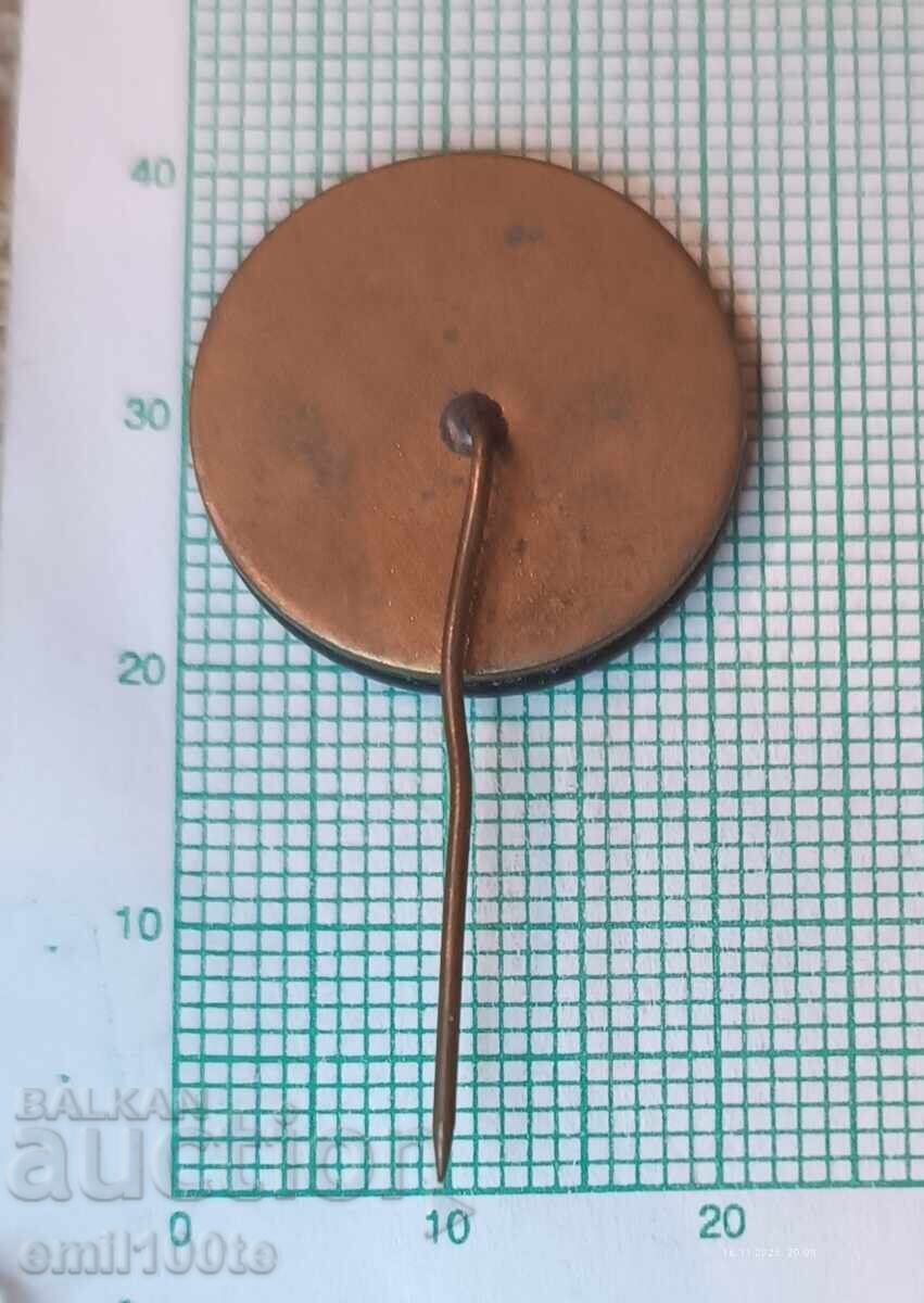 Παράδοση Σήμα - 9ο Συνέδριο της ΒΛΡΣ 1977