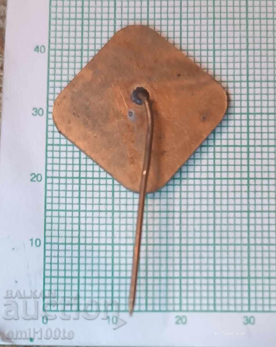 Delivery of Badge - EXPO Plovdiv 81 Delivery of Badge - EXPO Plovdiv 81