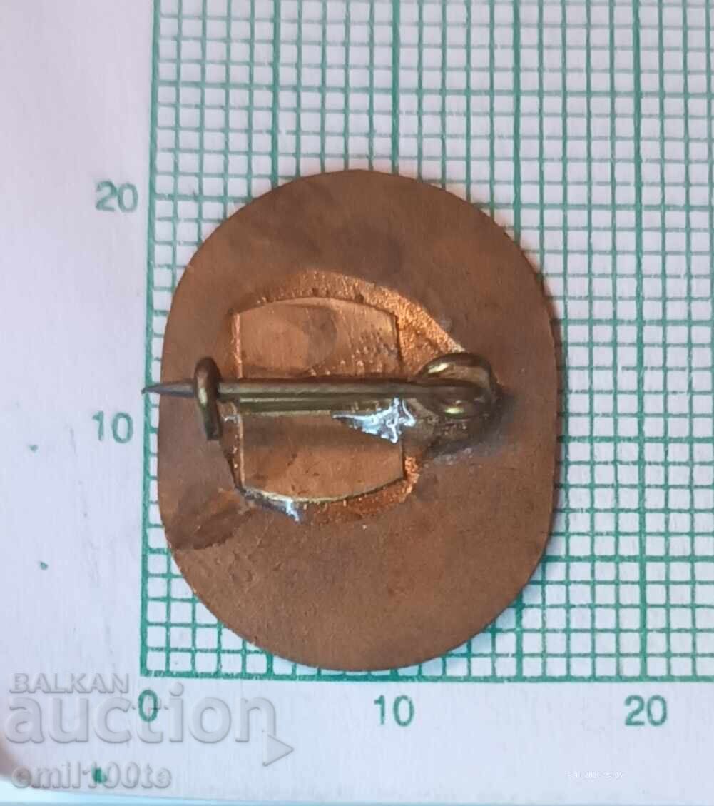 Delivery of Badge - VSK Belmeken Sestrimo