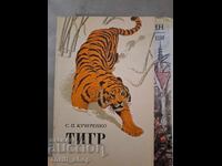 Τίγρης Σ.Π.Κουτσερένκο