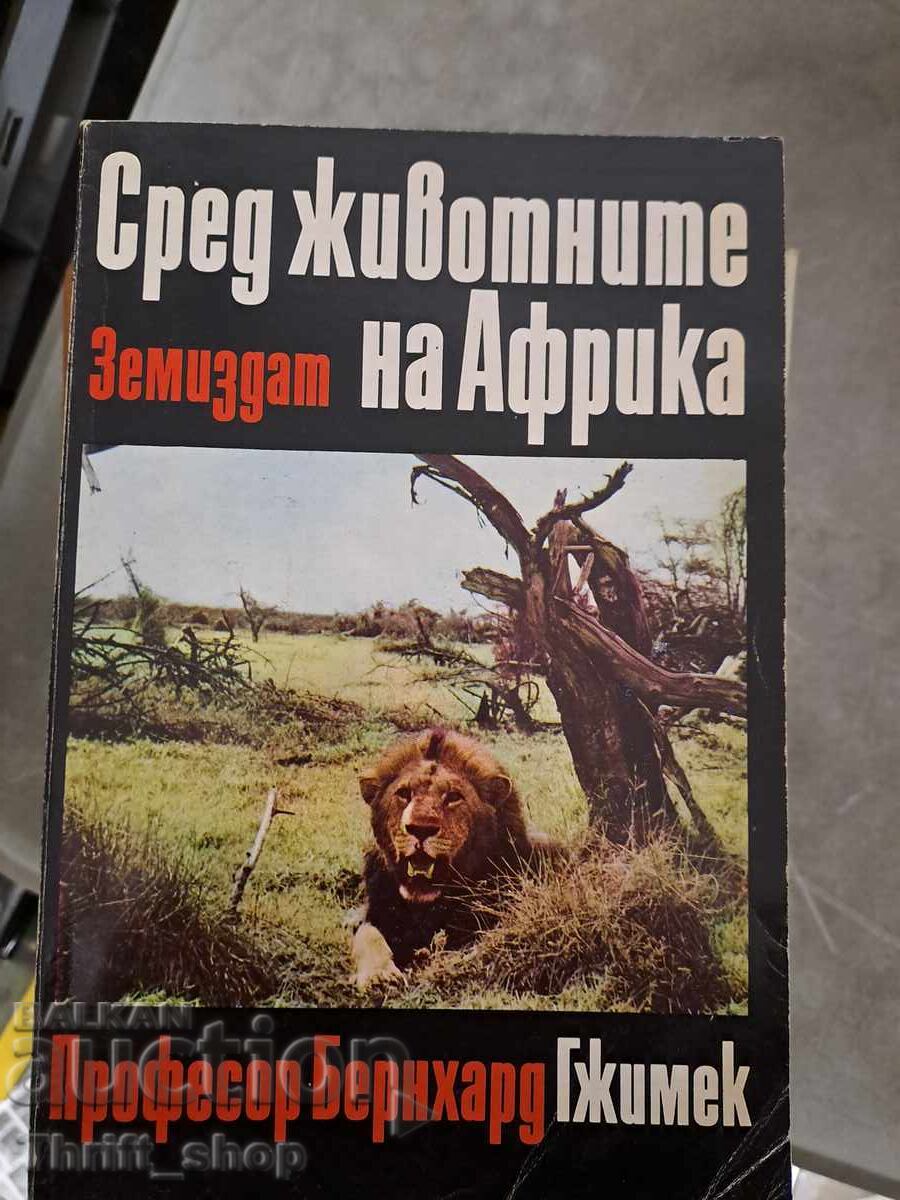 Among the animals Africa Among the animals Africa