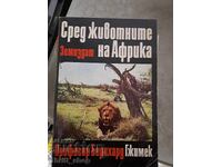 Ανάμεσα στα ζώα η Αφρική