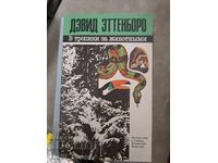 Στα τροπικά με ζώα του David Attenborough