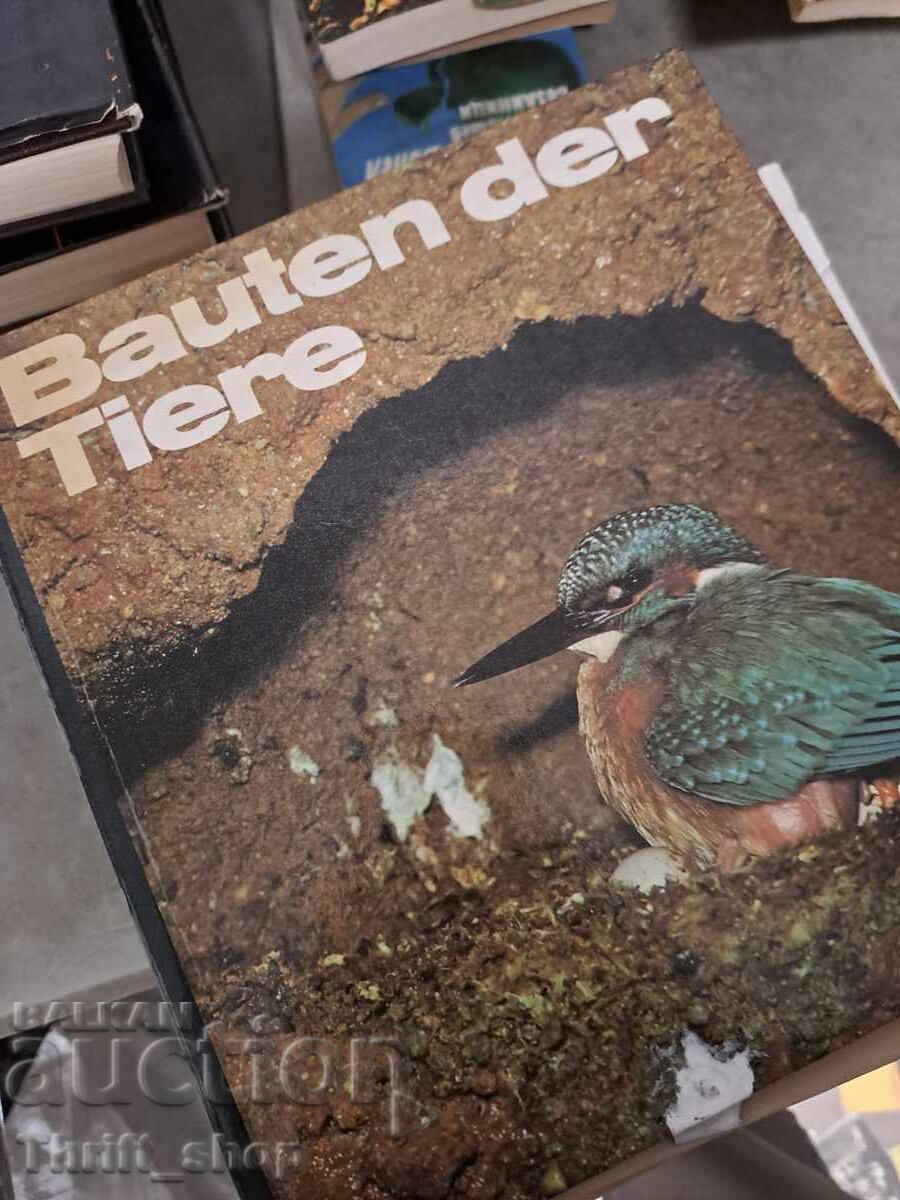 Animal Buildings Animal Buildings