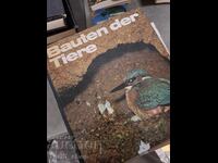 Κατασκευές των ζώων