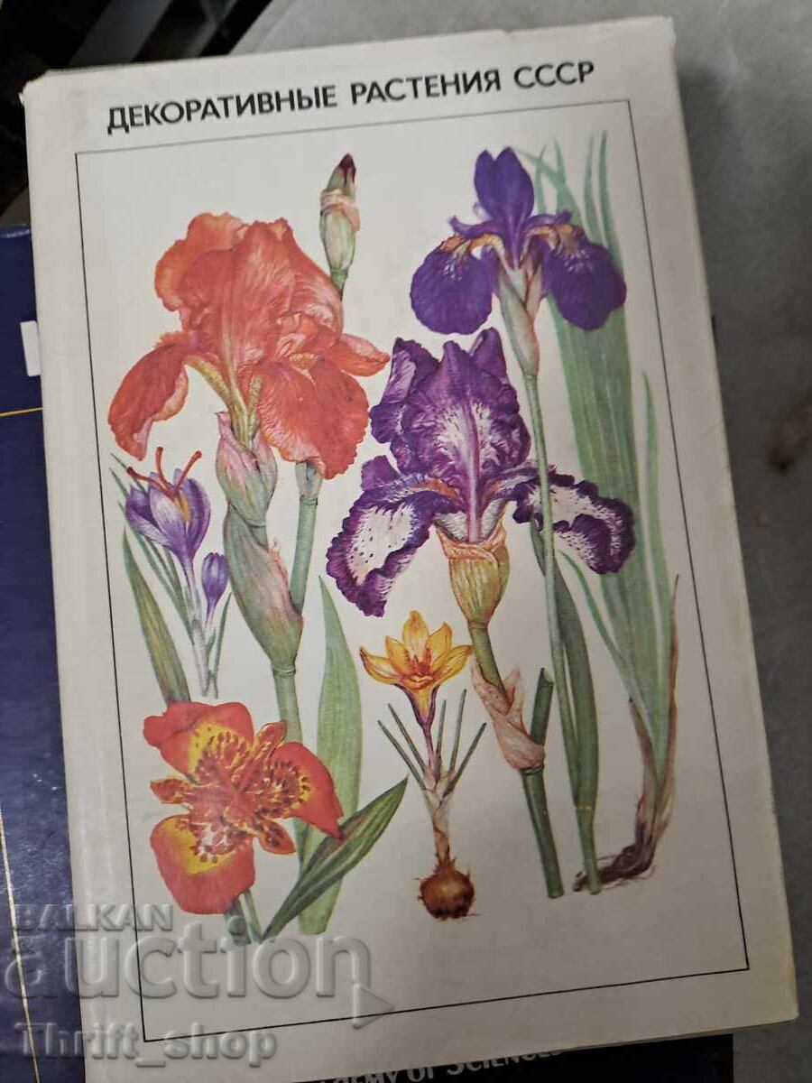 Plante decorative din URSS Plante decorative din URSS