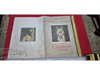 Ο ΦΟΒΕΡΟΣ ΛΥΚΟΣ - ΕΛΙΝ ΠΕΛΙΝ