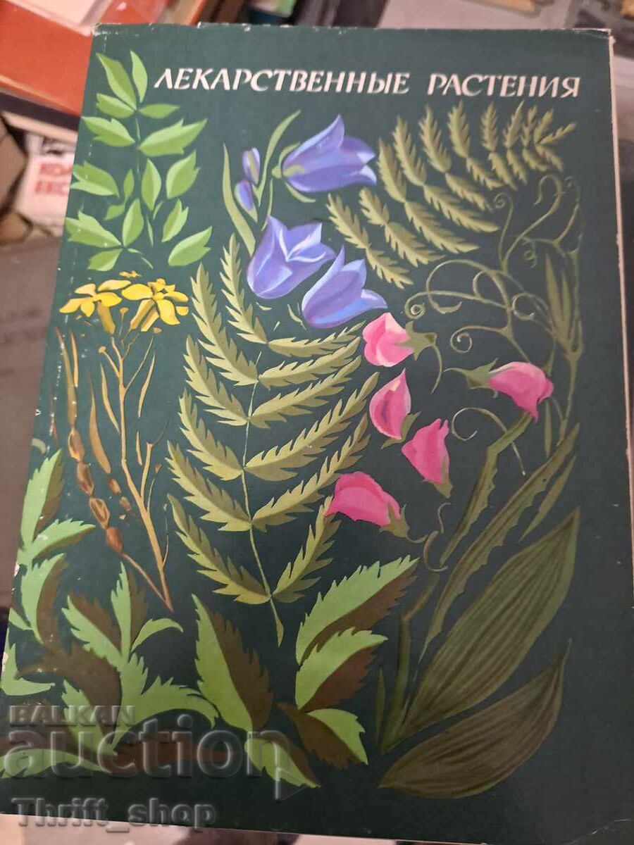 Φαρμακευτικά φυτά Φαρμακευτικά φυτά