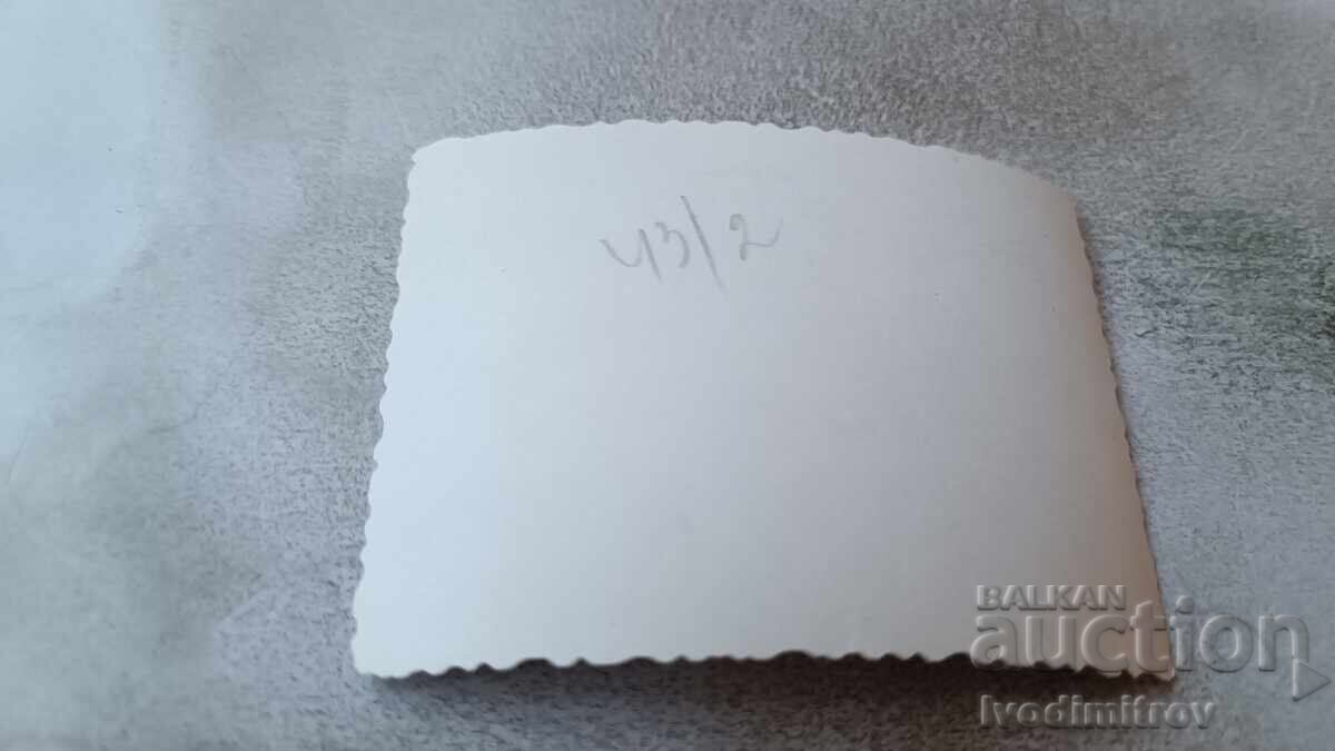 Снимка Млади мъже и млади жени на брега на морето с цена 1.65 лв. | € 0.84 Снимка Млади мъже и млади жени на брега на морето с цена 1.65 лв. | € 0.84