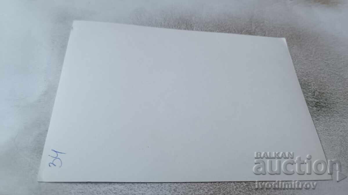 Φωτογραφία Νεαρό κορίτσι με τιμή 2.45 BGN | € 1.25 Φωτογραφία Νεαρό κορίτσι με τιμή 2.45 BGN | € 1.25