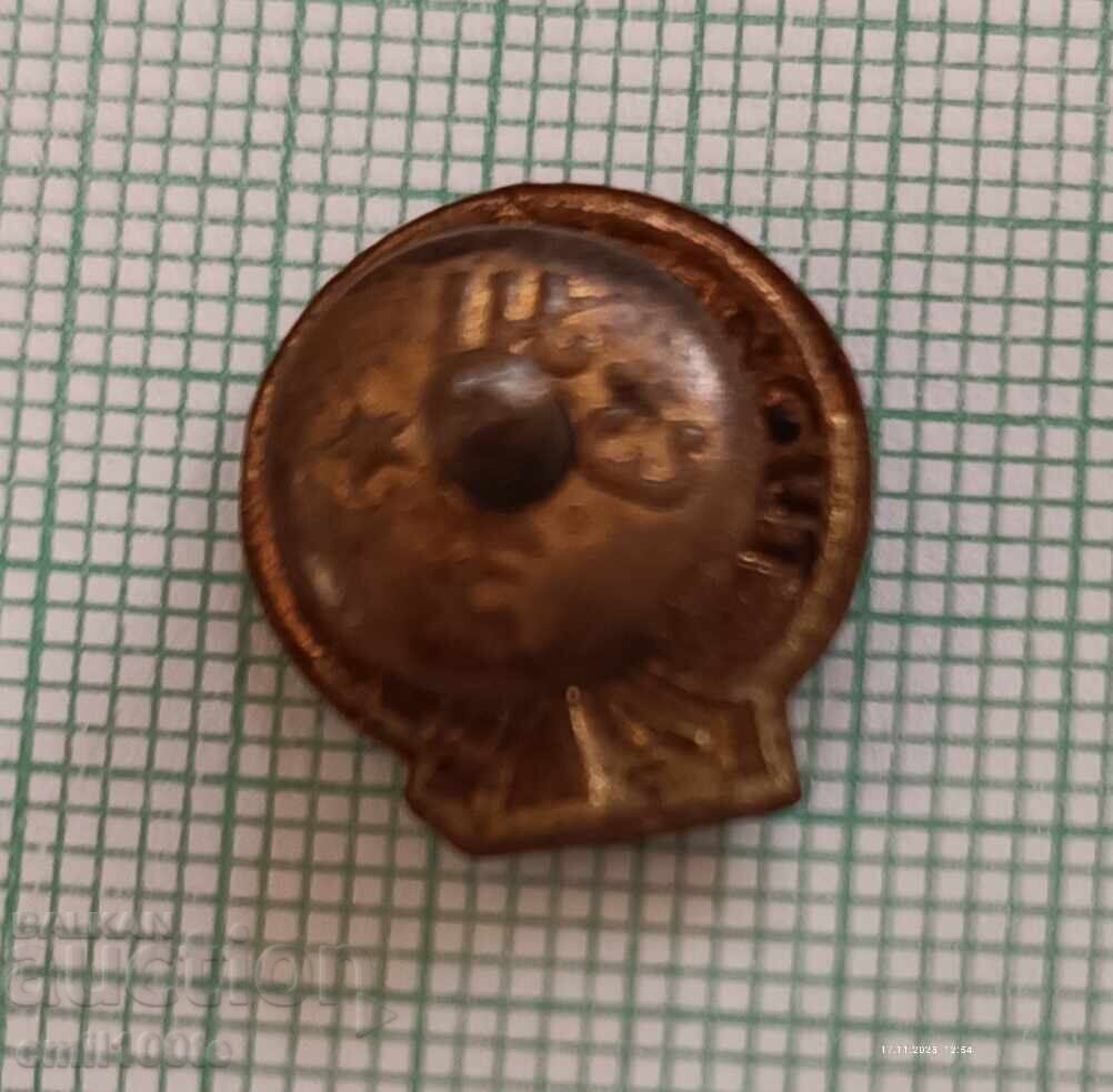 Badge - Tourist USSR - Bronze Enamel on Screw - 5