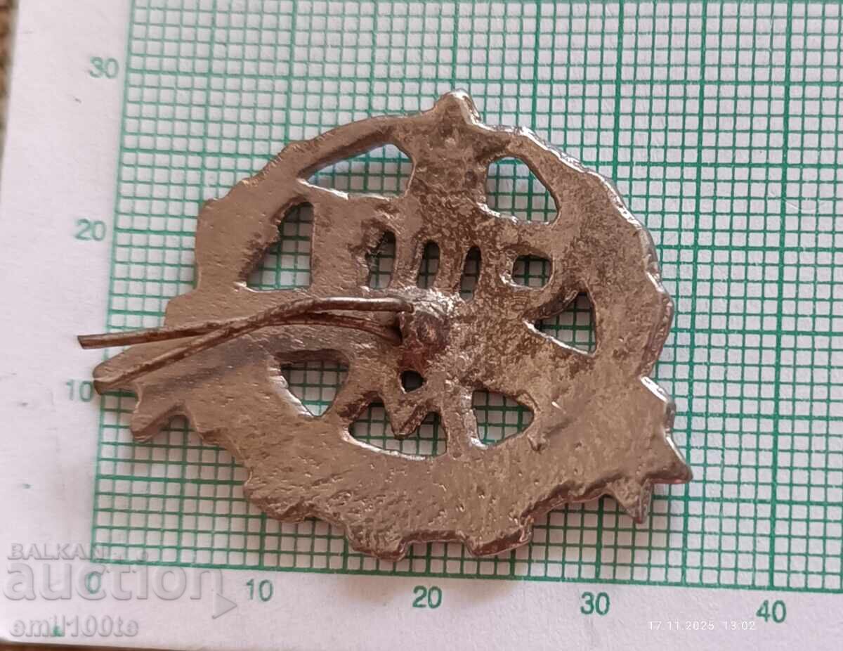 Cockade SPTU Vasil Kolarov town Maritsa (now Simeonovgrad) - 5 Cockade SPTU Vasil Kolarov town Maritsa (now Simeonovgrad) - 5