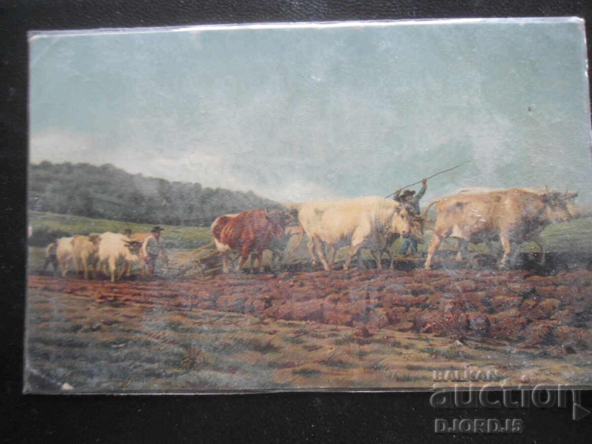 Old postcard, 18.I.1920 year