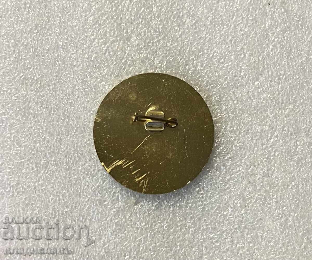 рядка военна значка  БЪЛГАРИЯ  НАТО с цена € 17.90 | 35.01 лв.