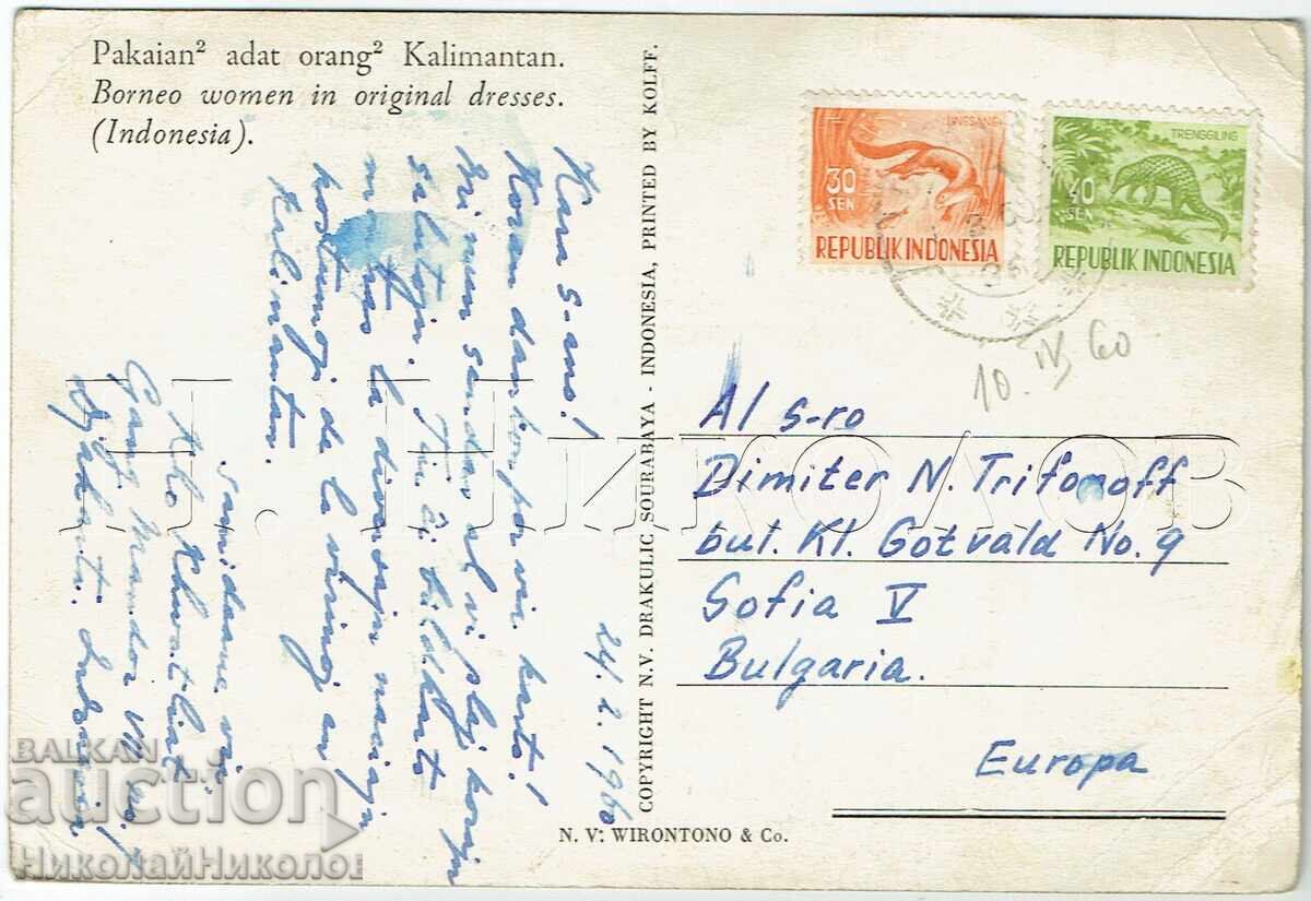 1960 OLD POSTCARD STAMPS INDONESIA BORNEO TO BULGARIA E576