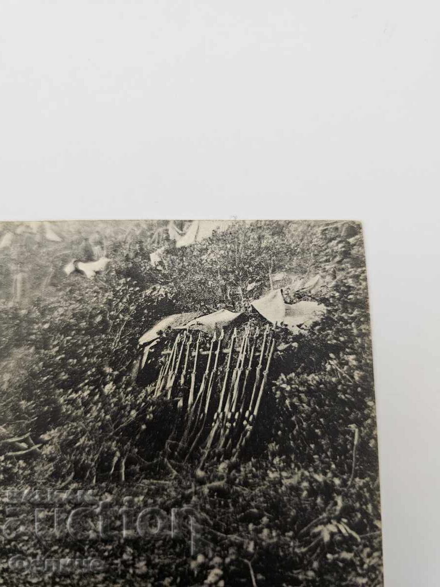 Доставка на Българска царска пощенска картичка Балканска война 1912-13