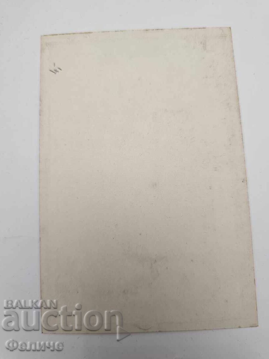 Доставка на Българска Царска Пощенска Картичка, Пощальон