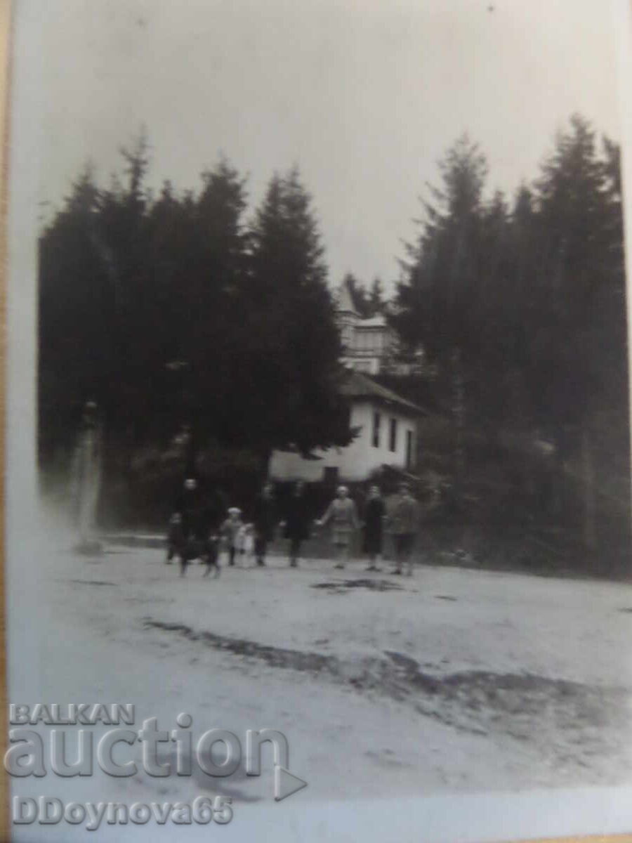 Доставка на 3 бр.стари снимки отЧамъ Кория и Царска Бистрица 30-те XX в.