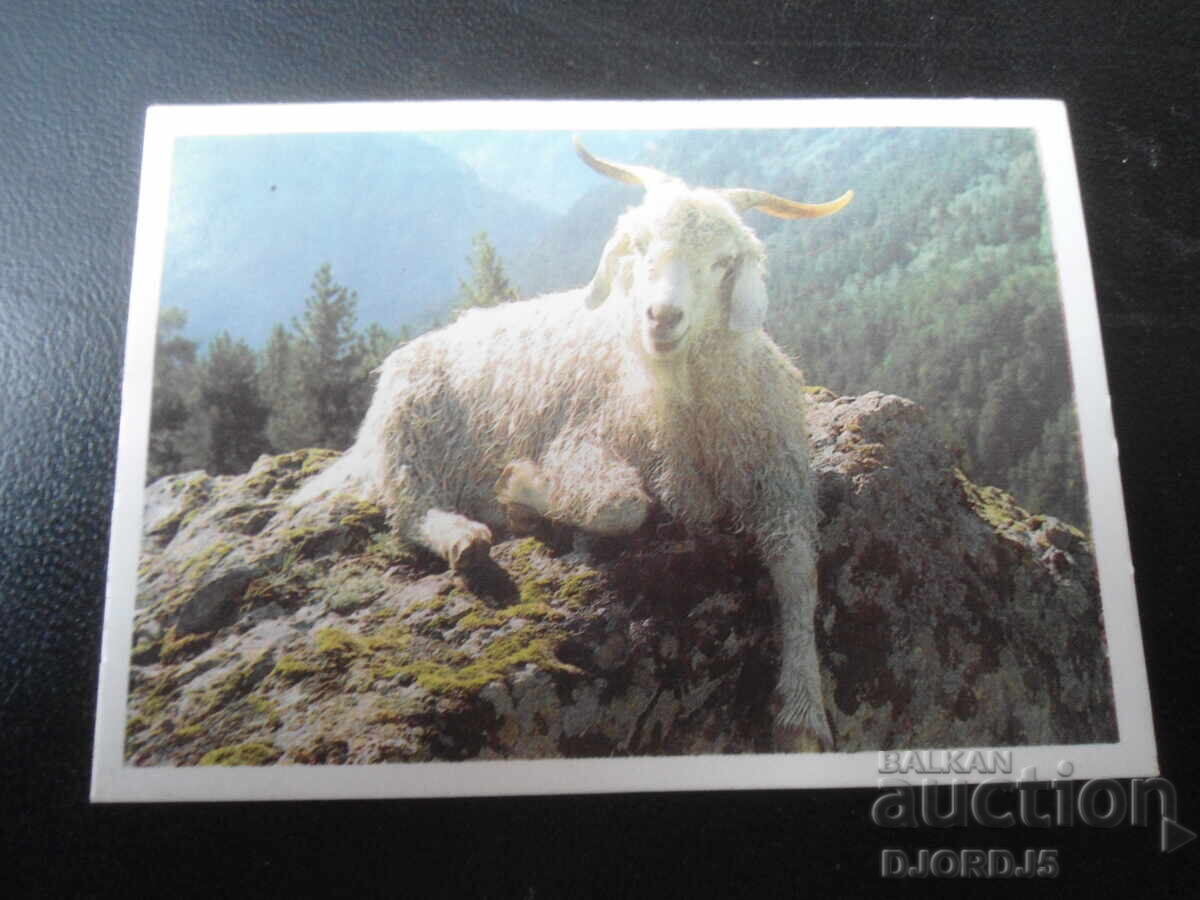 Calendar vechi rusesc, 1990