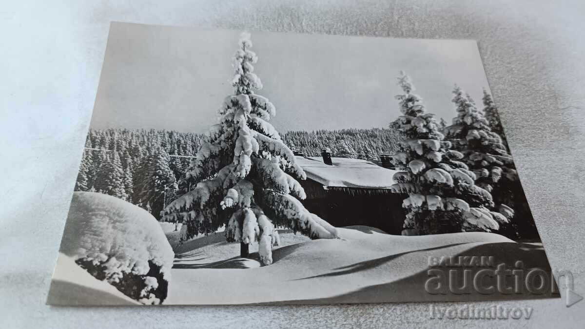 Postcard Winter Landscape 1962 Postcard Winter Landscape 1962