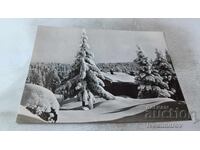 Postcard Winter Landscape 1962