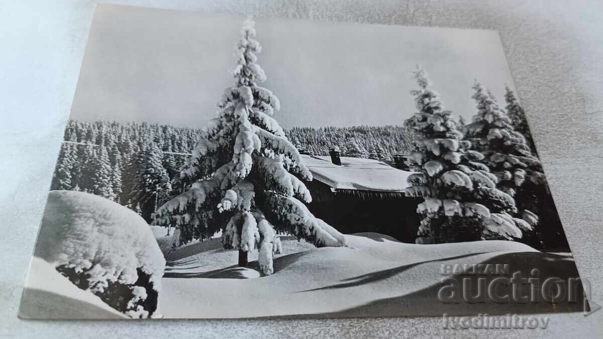 Postcard Winter Landscape 1962