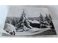 Postcard Winter Landscape 1962