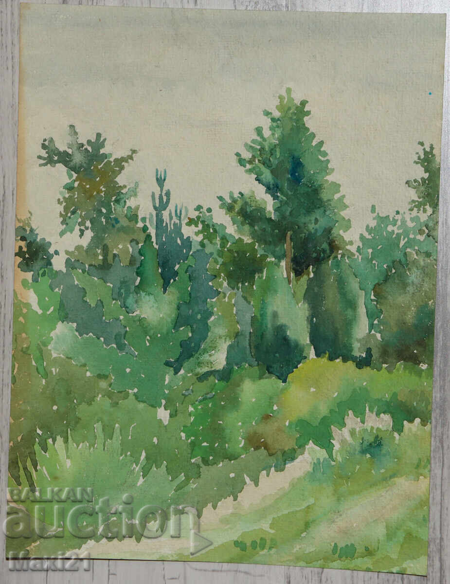 Pictură veche acuarelă peisaj natural cu preț 150.00 BGN | € 76.69