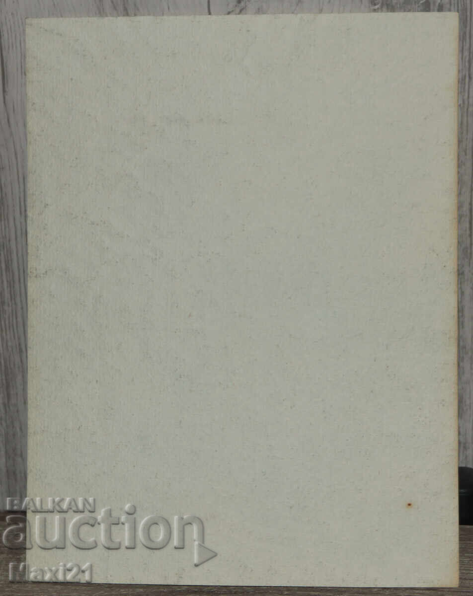 Pictură veche acuarelă peisaj natural - 6