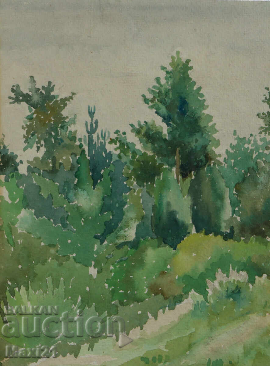 Pictură veche acuarelă peisaj natural