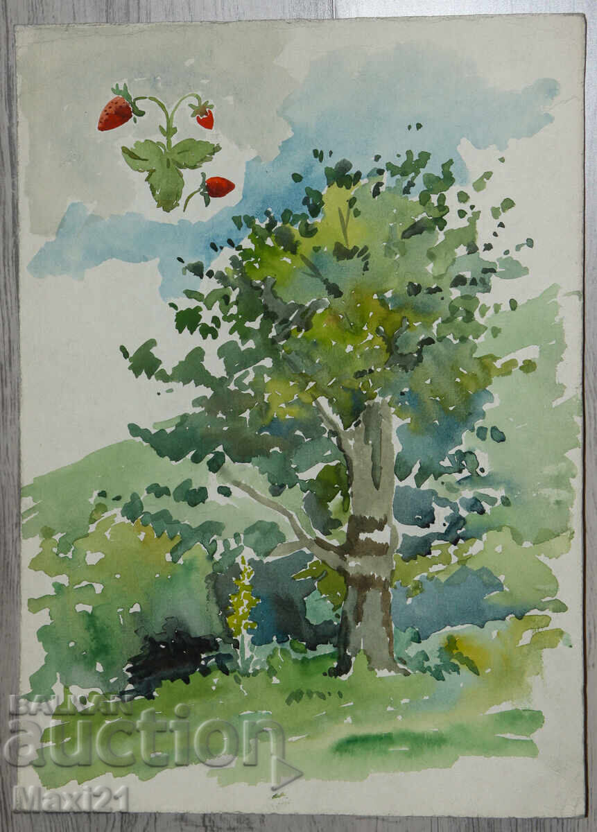 Παλιός πίνακας ακουαρέλας φυσικού τοπίου με τιμή 180.00 BGN | € 92.03