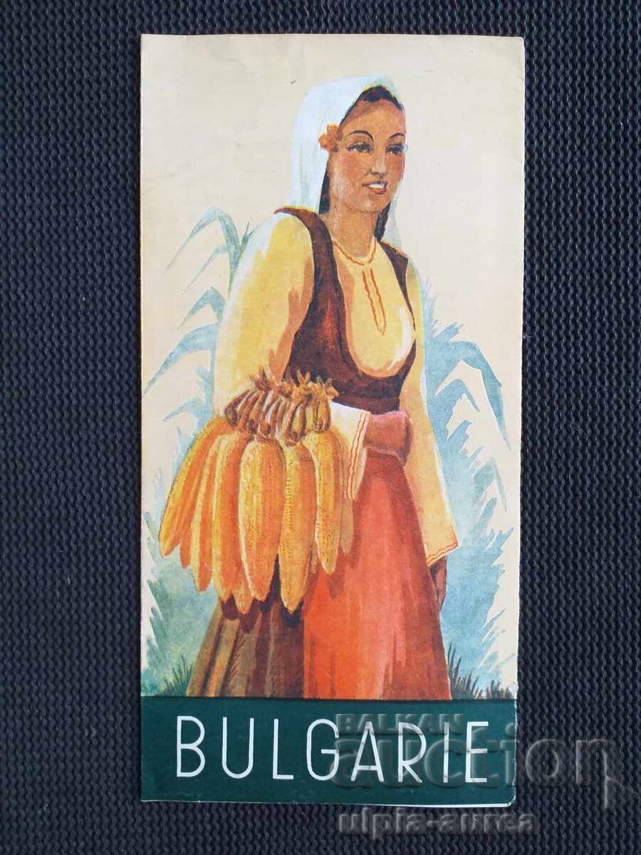 Broșura socială Broșura socială