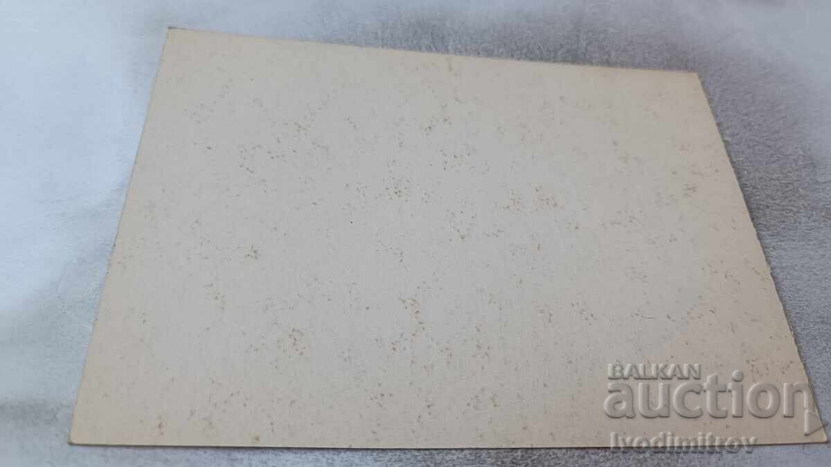 Cartolină Poștală Sunny Beach Două Cămile pe Plajă cu preț 0.95 BGN | € 0.49