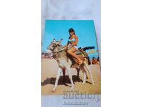 Postcard Golden Sands