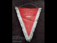 Award Flag "Kite Parade" 1987