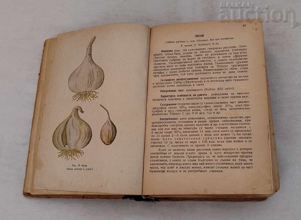 Licitație PLANTELE NOASTRE MEDICINALE MAG.FARM. NENO STOYANOV 1949 g Licitație PLANTELE NOASTRE MEDICINALE MAG.FARM. NENO STOYANOV 1949 g