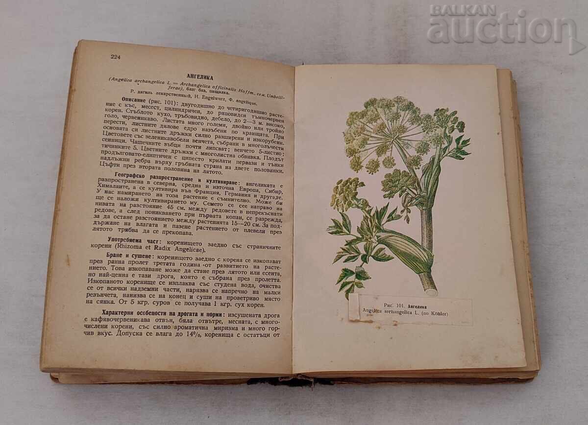 PLANTELE NOASTRE MEDICINALE MAG.FARM. NENO STOYANOV 1949 g - 5 PLANTELE NOASTRE MEDICINALE MAG.FARM. NENO STOYANOV 1949 g - 5