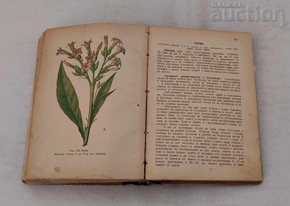 PLANTELE NOASTRE MEDICINALE MAG.FARM. NENO STOYANOV 1949 g - 6 PLANTELE NOASTRE MEDICINALE MAG.FARM. NENO STOYANOV 1949 g - 6