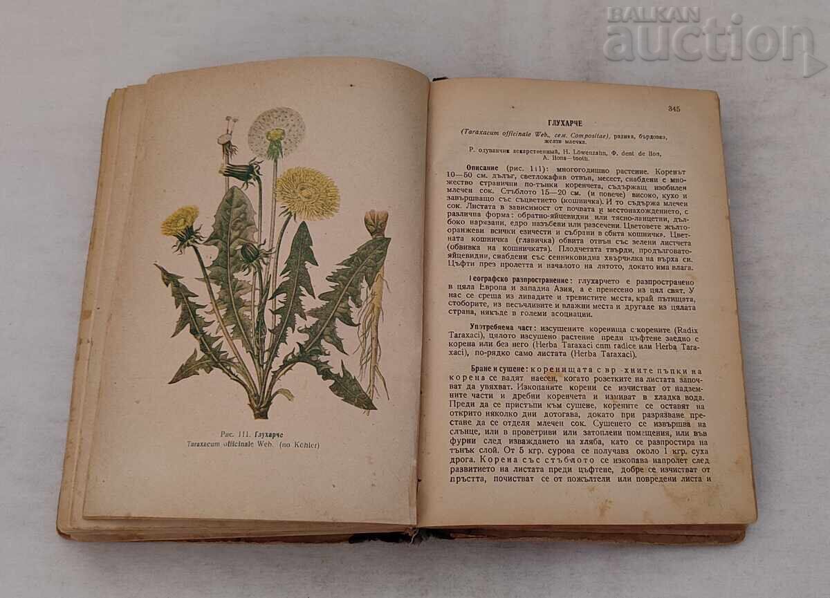 PLANTELE NOASTRE MEDICINALE MAG.FARM. NENO STOYANOV 1949 g - 7 PLANTELE NOASTRE MEDICINALE MAG.FARM. NENO STOYANOV 1949 g - 7