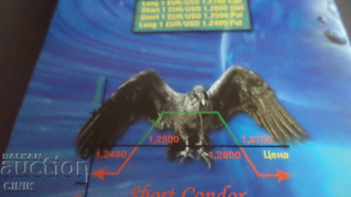 Auction  FOREX CURRENCY OPTIONS TRADING