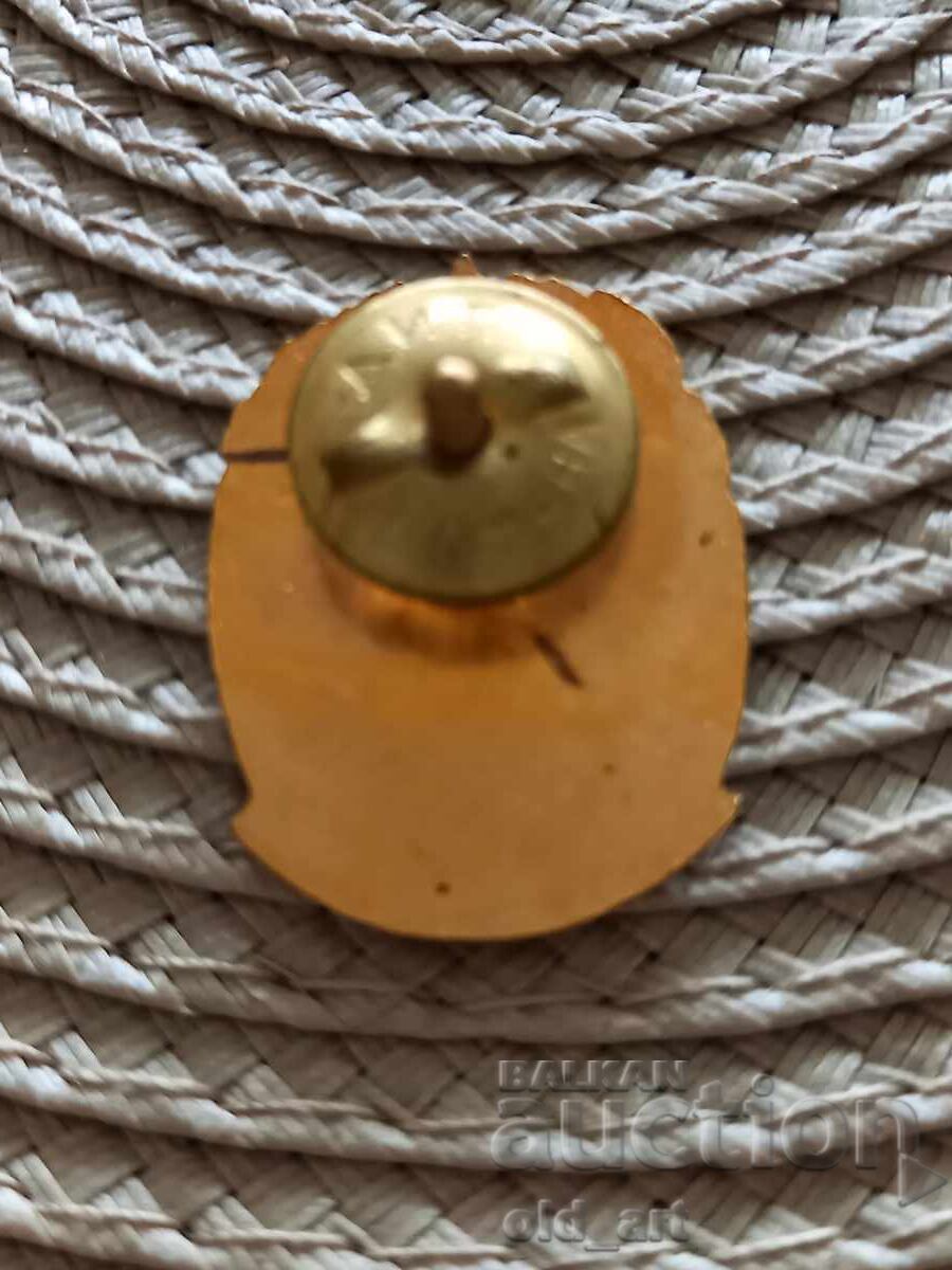 Breast badge - Distinction for reading activity with price 15.00 BGN | € 7.67