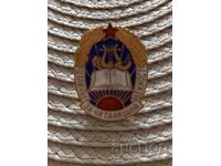 Semn de piept - Distincție pentru activitate de lectură