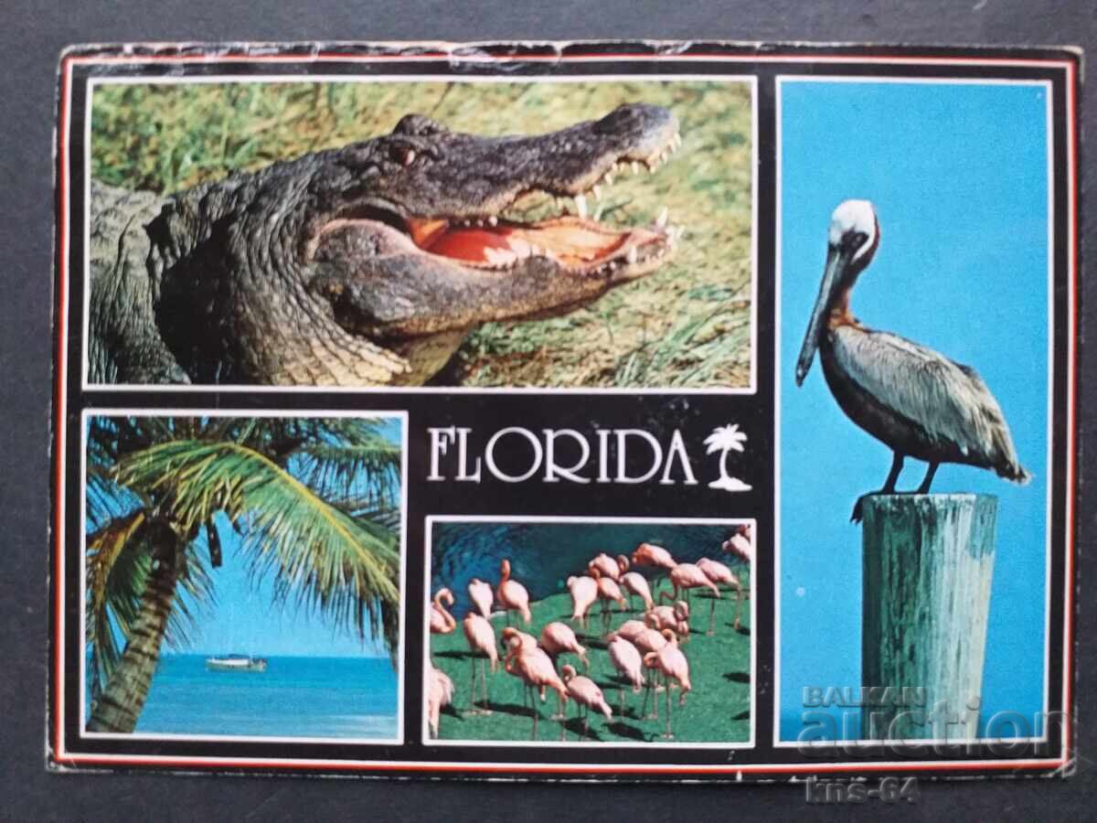 SUA Călătorit SUA Călătorit